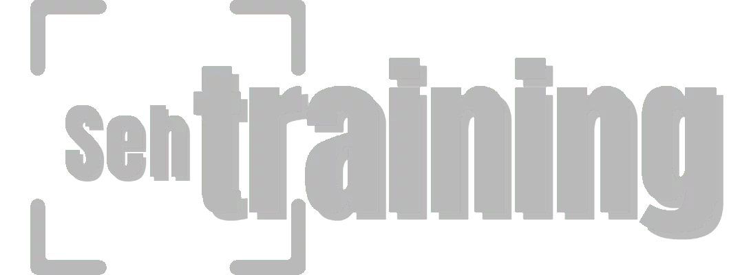 Bildschirmaugen Logo